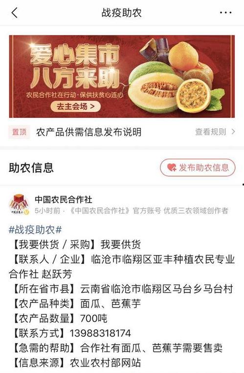 威海瓜塔今日头条,探寻威海特色瓜果的魅力