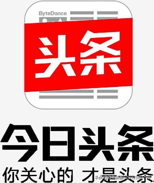 今日头条哪个瓜便宜,哪个瓜最实惠，性价比之王大揭秘！