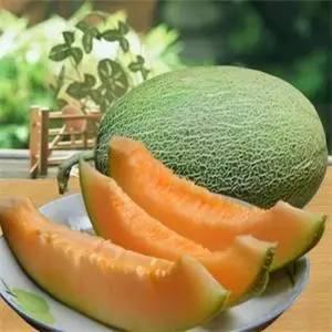 今日西瓜哈密瓜,西瓜与哈密瓜的甜蜜邂逅