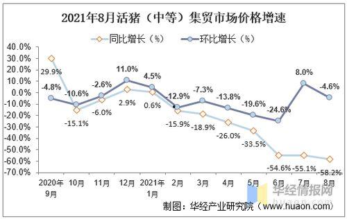 郯城今日瓜价行情走势分析,今日走势解析，价格波动背后的市场动态