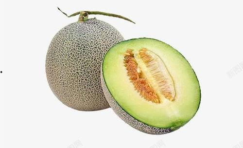 今日份水果哈密瓜,哈密瓜的清新魅力
