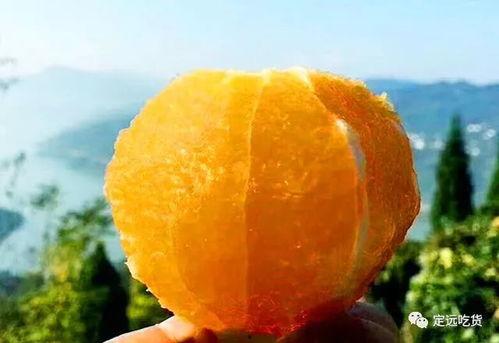 阿露斯蜜瓜今日价格,品味夏日甘甜，尽享实惠优惠