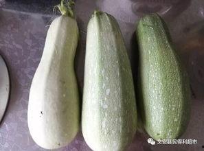 今日特价薄皮小吊瓜,薄皮小吊瓜，尽享清新口感！”