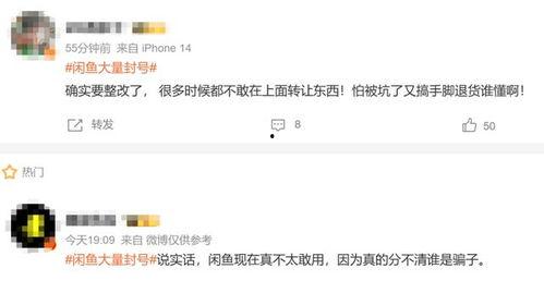 分手吃瓜今日头条小说,揭秘娱乐圈背后的爱情纠葛