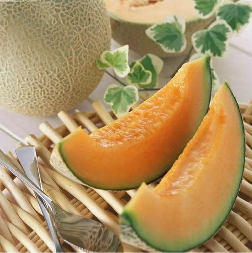 今日头条号新疆蜜瓜,甜蜜滋味，尽享丝路风情