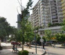 杭州今日瓜渚湖开放吗,杭州瓜渚湖今日开放情况揭晓