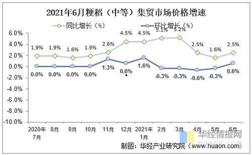 今日新疆瓜价走势分析,夏季丰收背后的市场脉动