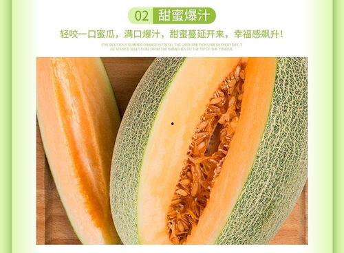 海南小蜜哈密瓜今日价格,价格行情一览”
