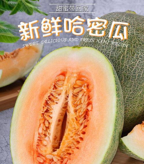 海南小蜜哈密瓜今日价格,价格行情一览”