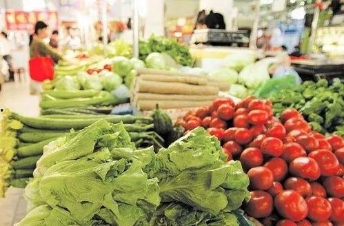 陕西乳瓜今日行情价格,价格波动下的市场动态