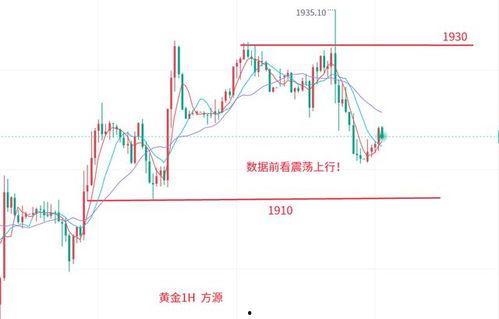 今日小吊瓜行情走势分析,涨跌波动背后的市场解析