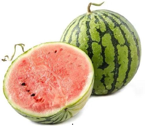 泸西太阳坡小瓜今日价格,价格行情一览