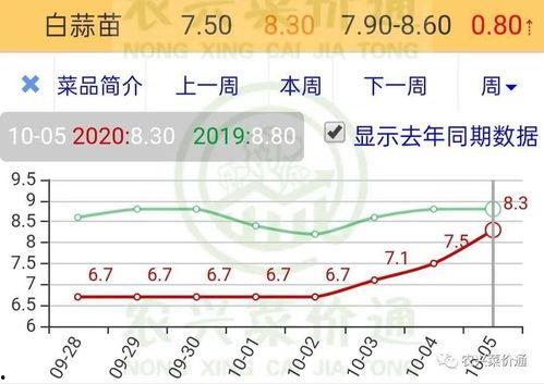 今日兰瓜价格走势分析,今日走势深度解析