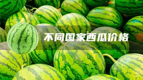 美华瓜今日价格行情,今日行情一览”