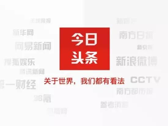 今日头条小呆瓜,今日头条的萌宠日常，带你领略趣味生活