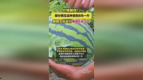 今日高碑店麒麟瓜批发价,市场行情一览无余”