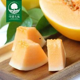 海沙蜜瓜今日价格,甜蜜来袭，品质之选