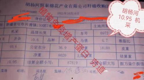 瓜州县今日猪价价格,行情稳定，养殖户信心增强