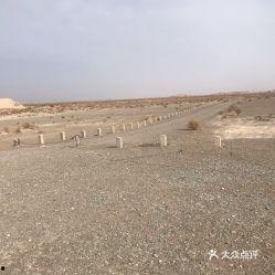 瓜州县今日猪价价格,行情稳定，养殖户信心增强
