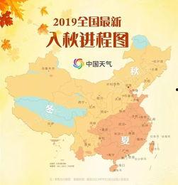 今日云南秋瓜行情走势,丰收季里的价格波动与市场动态