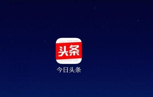今日头条白瓜价,今日头条带你了解最新市场动态”