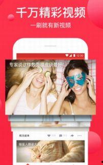 今日摘瓜视频大全下载,精彩瞬间一网打尽