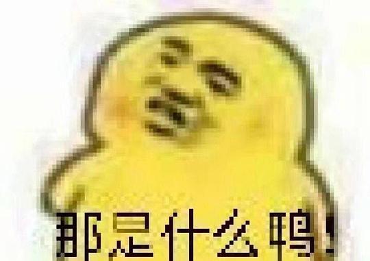 今日吃瓜的图片表情包,笑翻你的日常小确幸