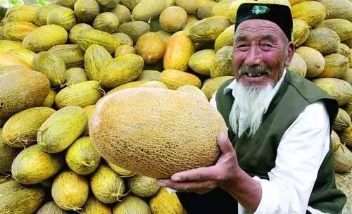 今日热点哈密瓜,揭秘哈密瓜的神奇魅力与营养秘密