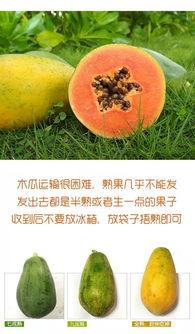 今日红河州瓜价,今日瓜价行情一览