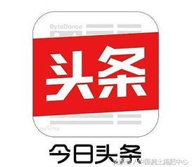 新疆蜜瓜今日头条,甜蜜滋味，尽在新疆！