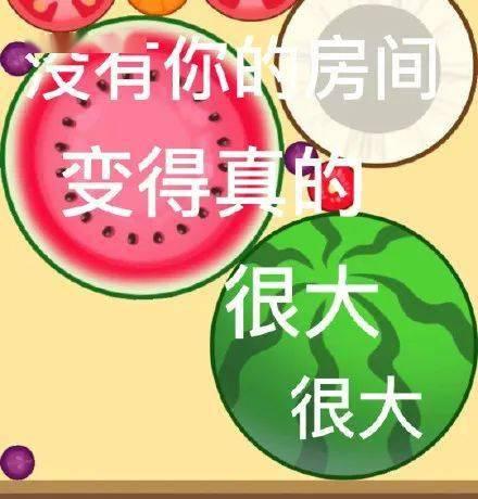 今日摘瓜小分队文案短句,短句背后的欢乐时光