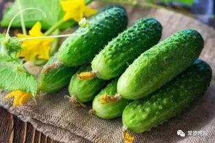 今日头条立夏吃瓜,今日头条带你解锁立夏吃瓜新风尚